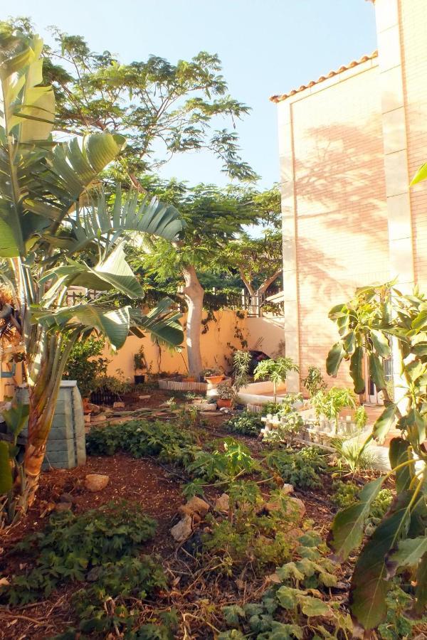 Casa Nea Apartment El Rosario  Luaran gambar
